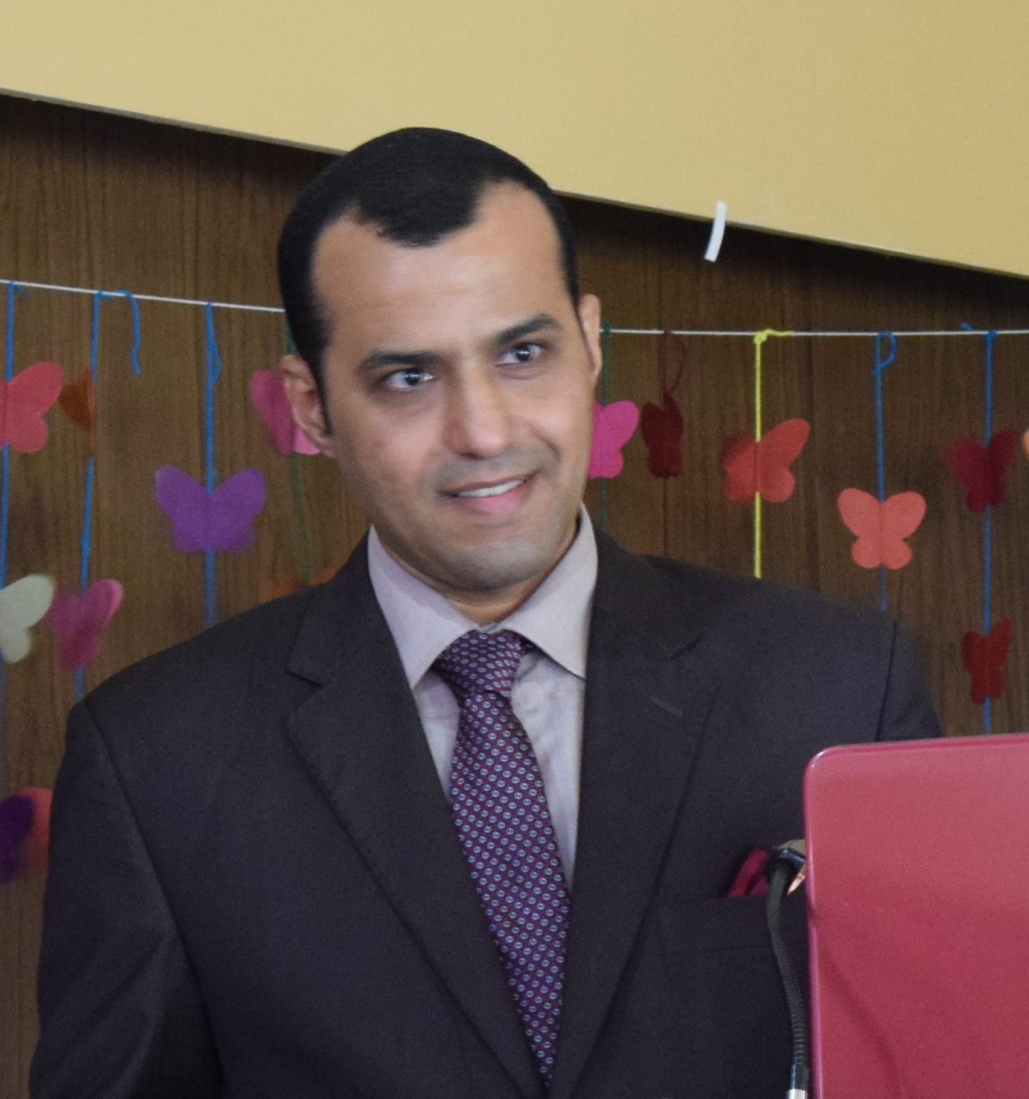 Hamada Ali Mohamed Ali Nayel
